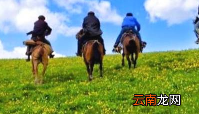 蒙古族有多少人口?