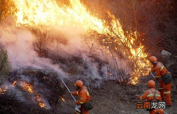 森林防火期是什么时候