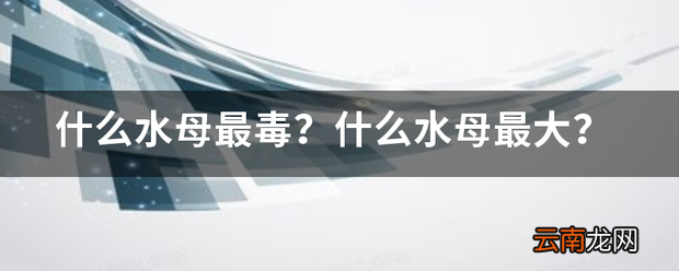 什么水母最毒 什么水母最大