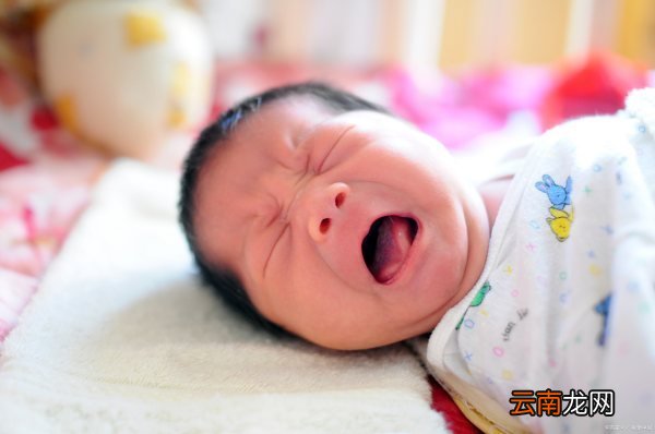 新生儿上户口需要父母本人去吗 户口需要本人去吗