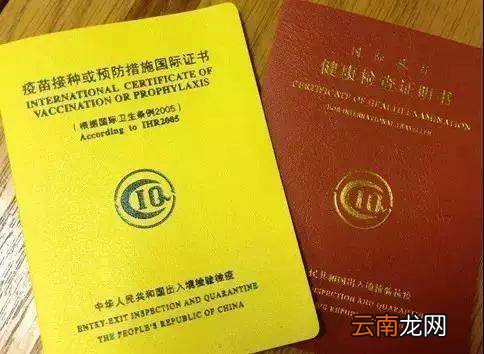 出国疫苗证的接种黄色本是普通的接种本吗 疫苗证需要换吗