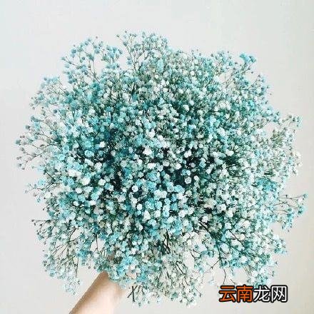 女儿长大的说说心情短语 女儿长大的 句子