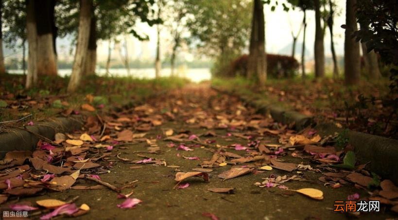 来日方长的含义 来日方长是什么意思