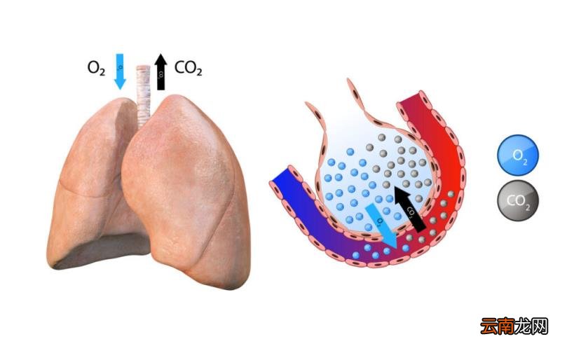 加湿器的危害和注意事项 加湿器有什么危害