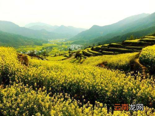 春天来了,小朋友你周围都有什么变化 关于作文