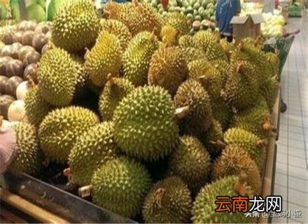 榴莲没熟的解决方法 榴莲没熟打开后怎么办