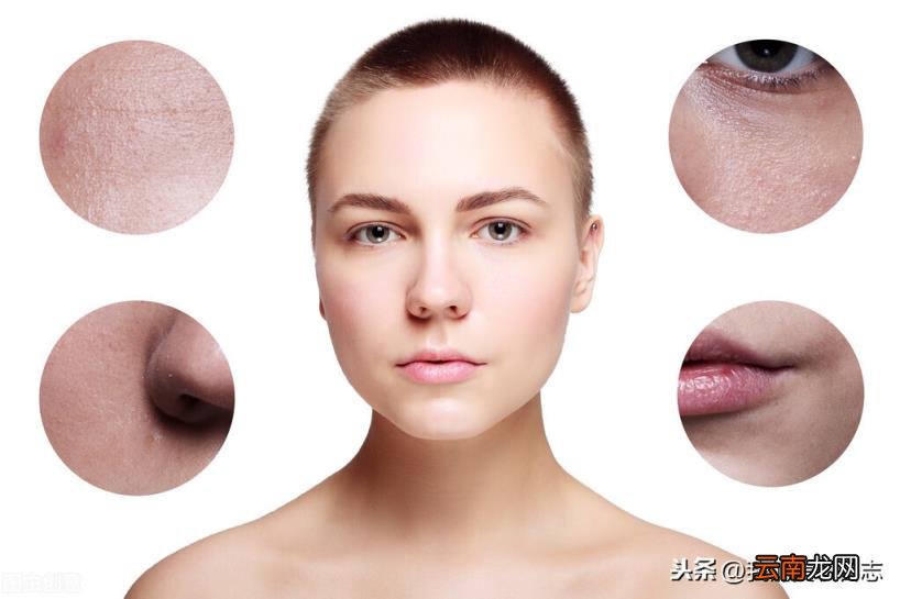 蜜粉的用法和作用 蜜粉是什么