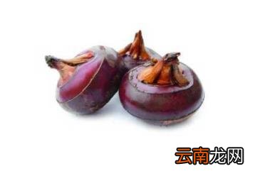 荸荠的功效和作用 荸荠是什么