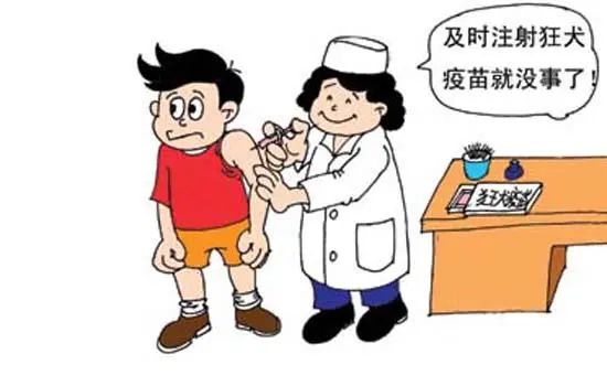 注射狂犬疫苗需谨记的几个注意事项