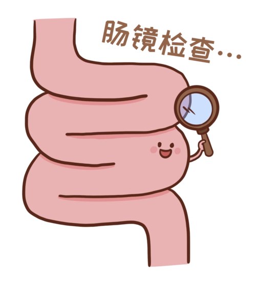 做肠镜检查需要提前做什么准备