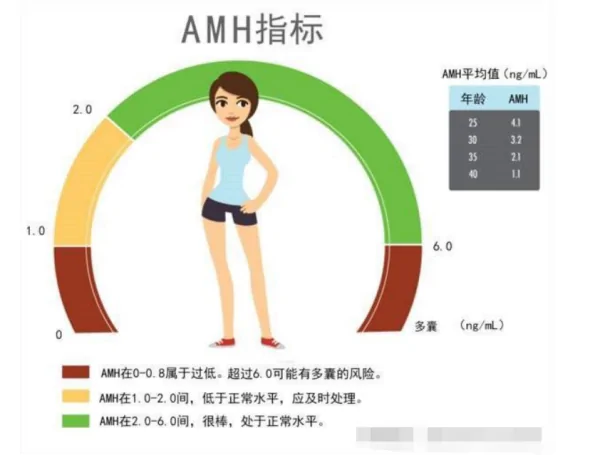 什么是AMH值?代表着什么