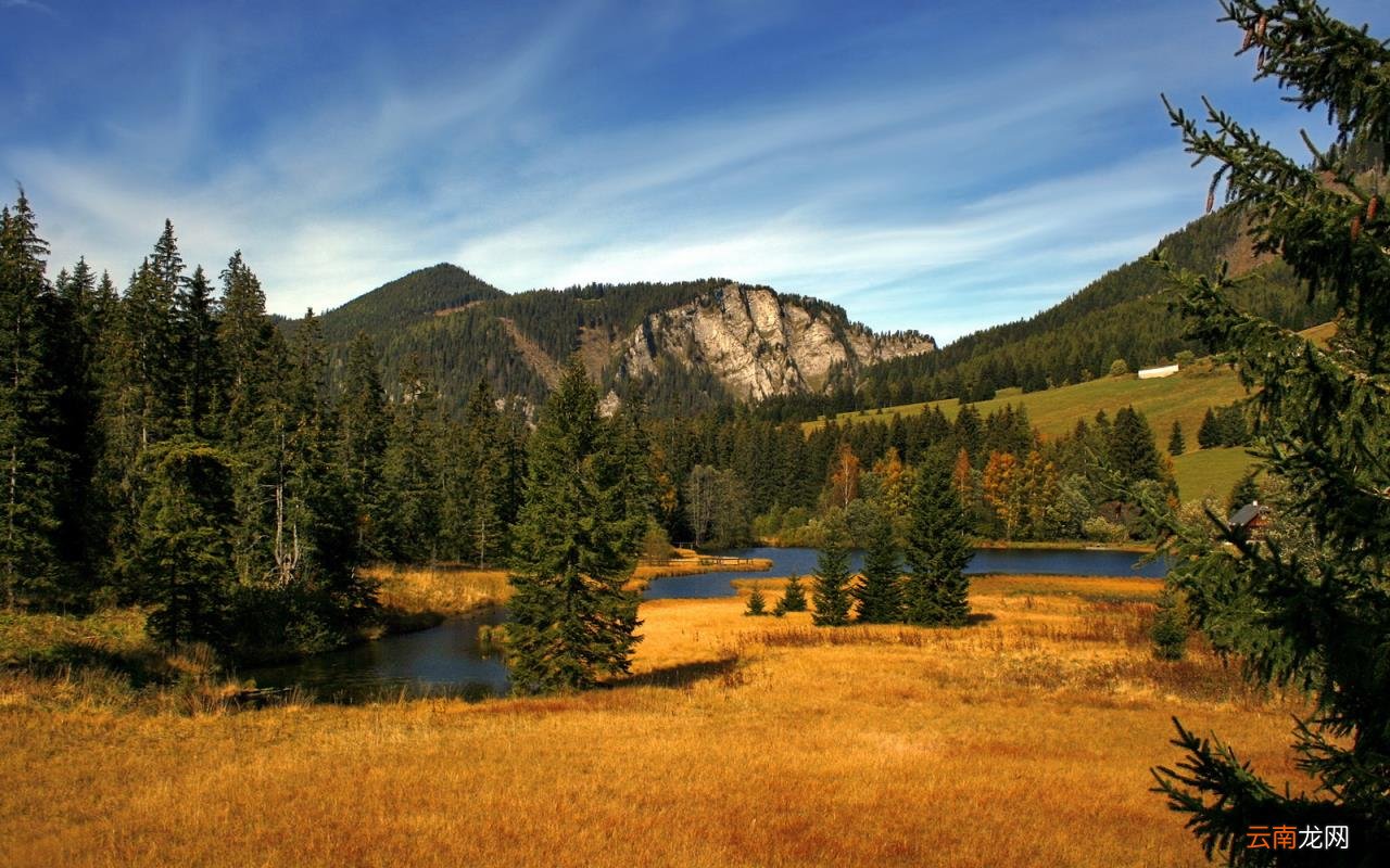 高中数学三角函数诱导公式有哪些 高中三角函数的诱导公式有哪些