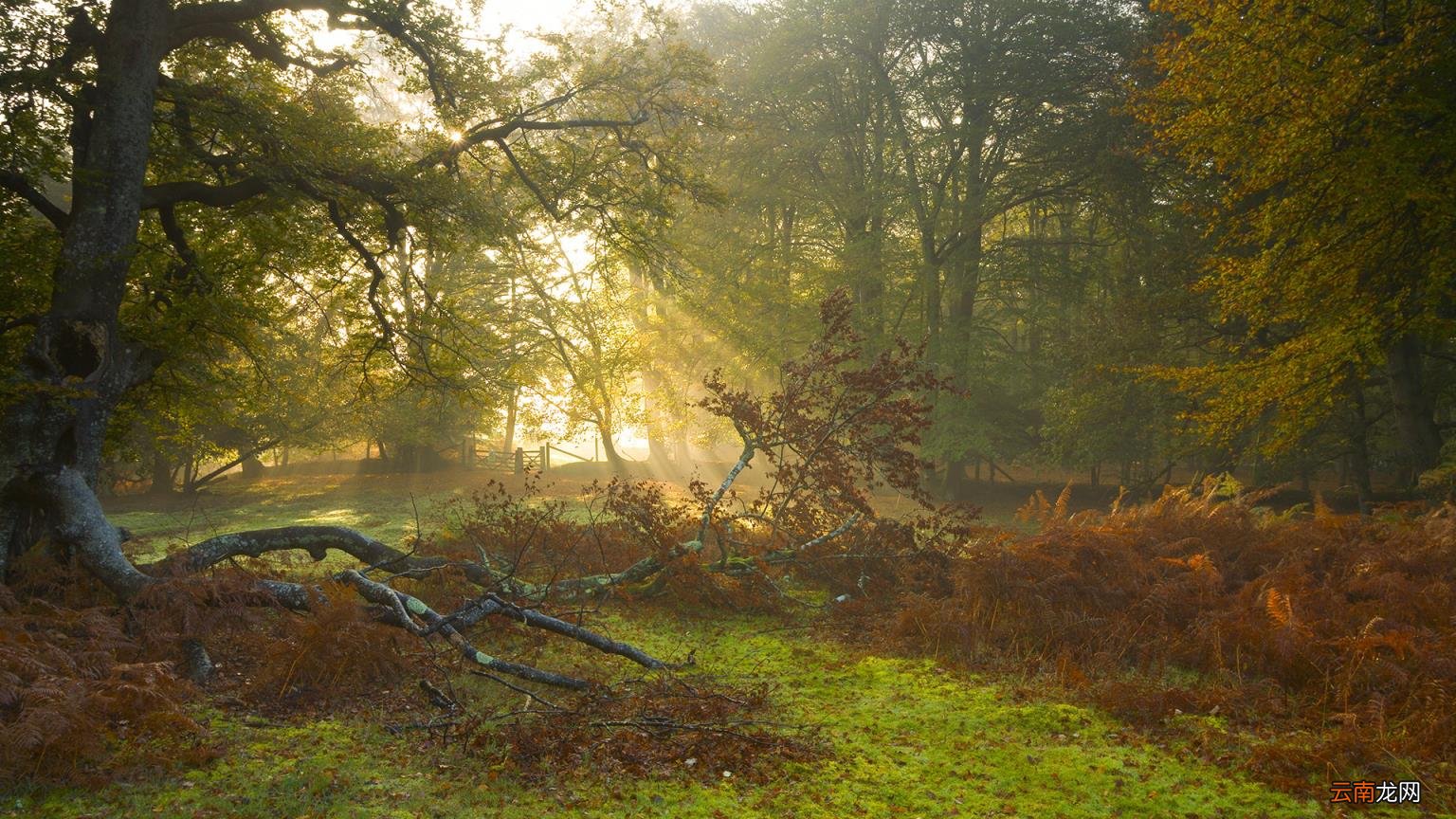 高中数学三角函数诱导公式有哪些 高中三角函数的诱导公式有哪些