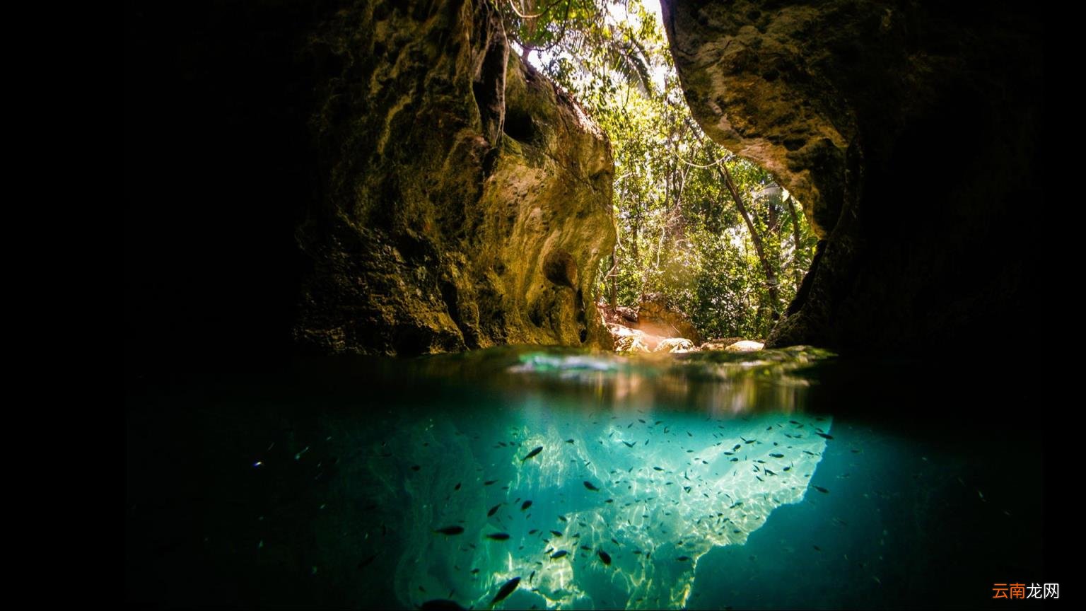 家长们看过来,高中一对一辅导多少钱 高中一对一辅导多少钱