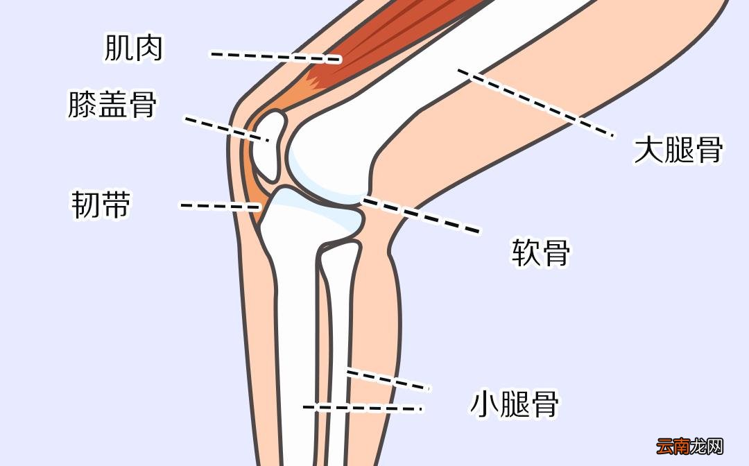 膝盖疼痛是怎么回事?