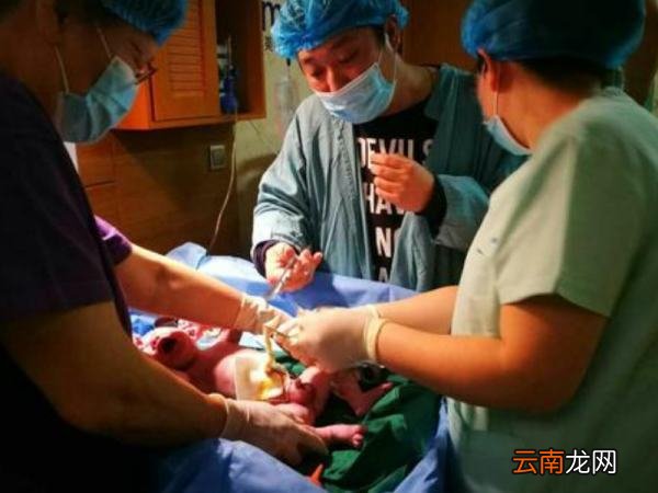 脐带的剪断真的可以“晚剪”吗