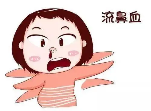 流鼻血是上火吗