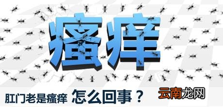 肛门口瘙痒怎么回事