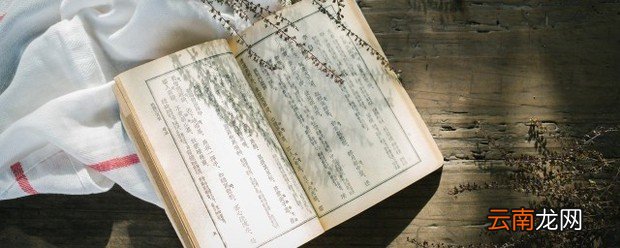 关于书的诗句或格言