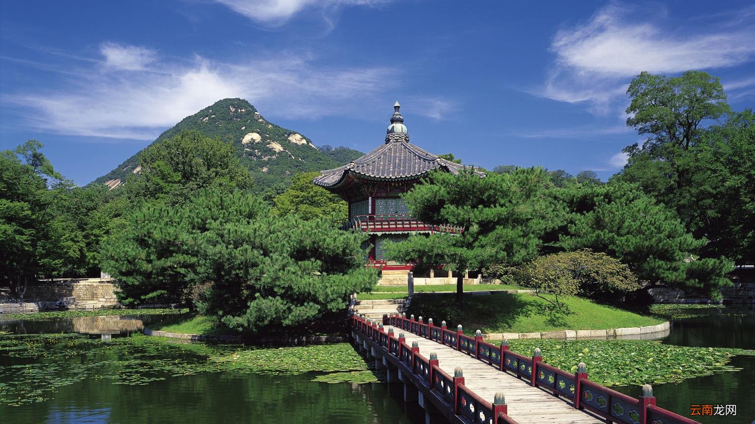 高中文科学哪些科目 高中文科学什么科目
