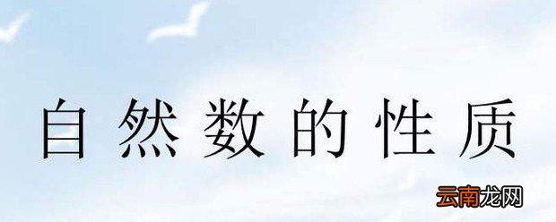自然数包括什么