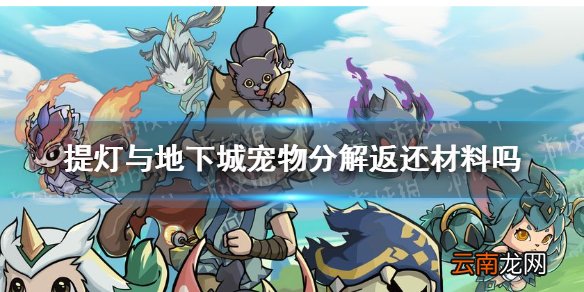 提灯与地下城宠物分解返还材料吗 提灯与地下城宠物分解技能返还情况