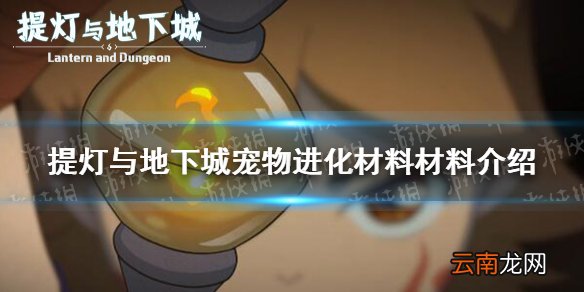 提灯与地下城宠物进化材料材料要多少 提灯与地下城宠物进化所需材料介绍