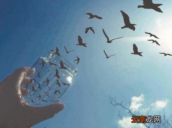 秋天的落叶像什么