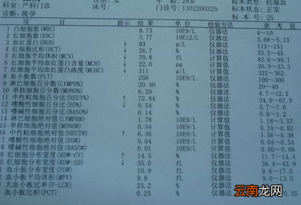 医学化验单英文缩写 比如血常规
