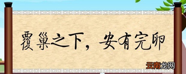 覆巢之下安有完卵的含义