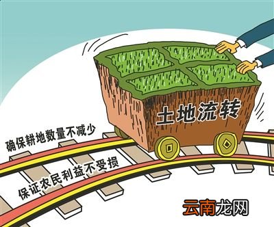 土地流转