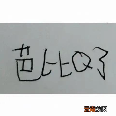 网络用语bbq是什么意思