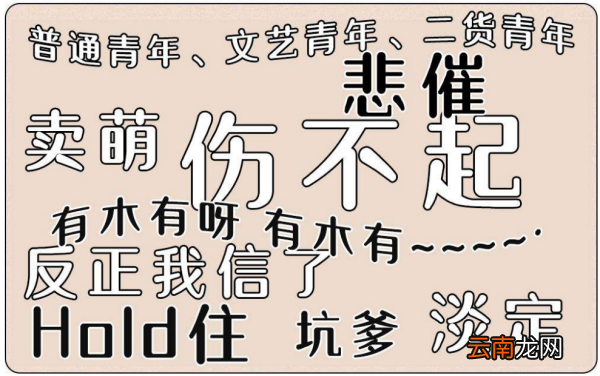 网络流行语真实你指的是什么?