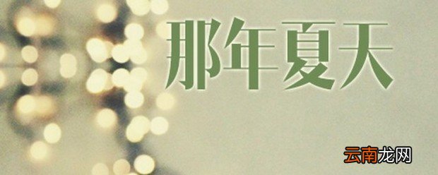 那年夏天歌词