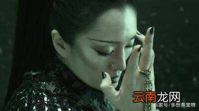 孙悟空为什么三打白骨精