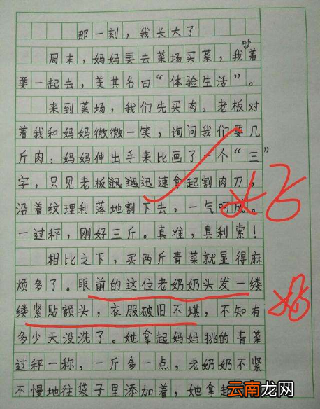 那一刻我长大了作文怎么批改
