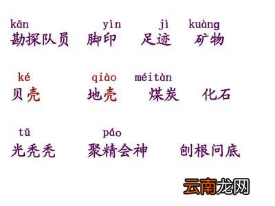 苏教版五年级语文书上册第6单元