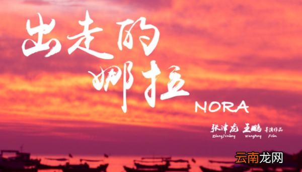 怎么评价电影《出走的娜拉》