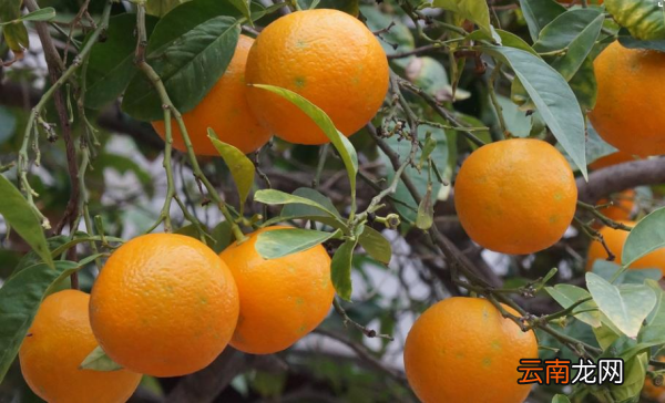 1-10岁宝宝身高体重标准参考表,孩子的身高体重达标了吗?