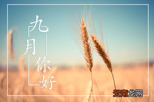 一月到十二月英文缩写怎么读??
