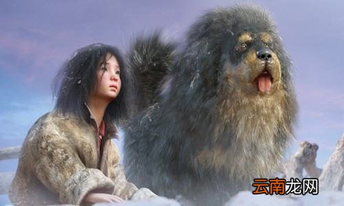 一万年以后是什么烂片