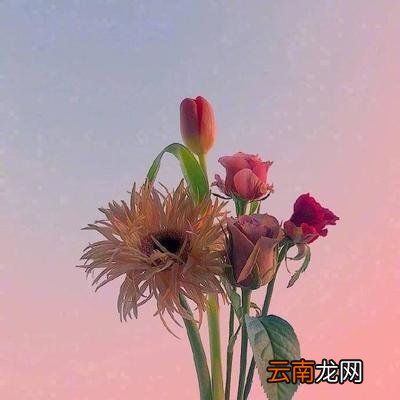 有冲劲的正能量句子