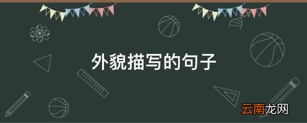 外貌描写的句子