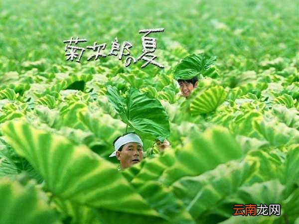 《SUMMER》开头最轻快活泼一段的简谱