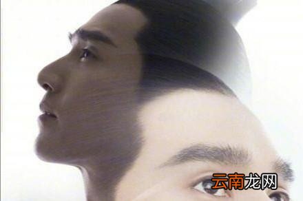《三生三世十里桃花》夜华说的染指是什么意思
