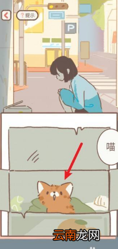 遇见你的猫刘海猫几级变人