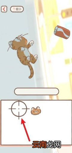 遇见你的猫刘海猫几级变人