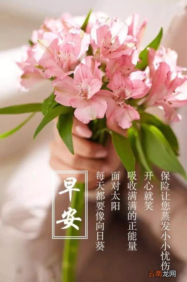 女人精致自律生活句子