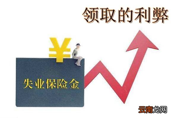 网上申请失业金领取流程