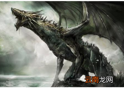 霸气的龙图片 关于中国龙的